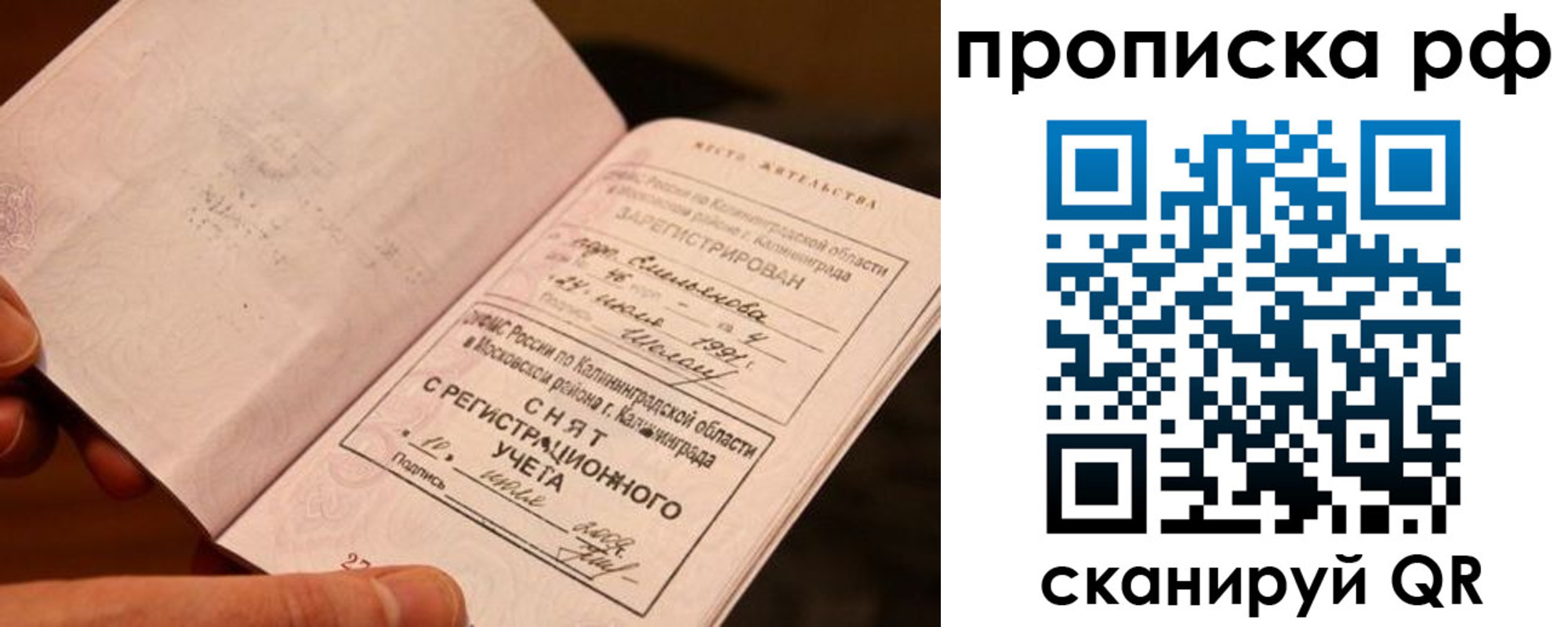 прописка гарантия в Вяземском